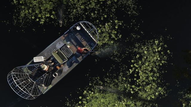A topdown view of two people in an airboat surrounded by alligators in the Grassrivers. One holds a gun aiming at the alligator closest to him.